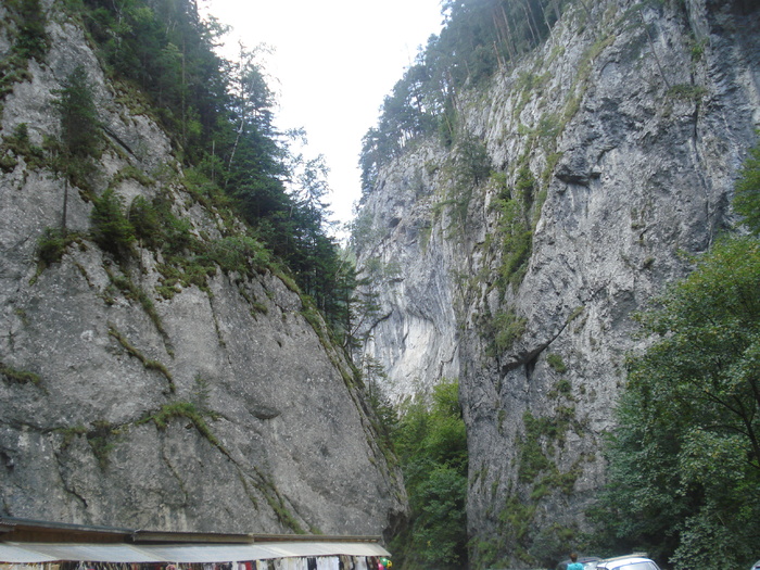 DSC06593