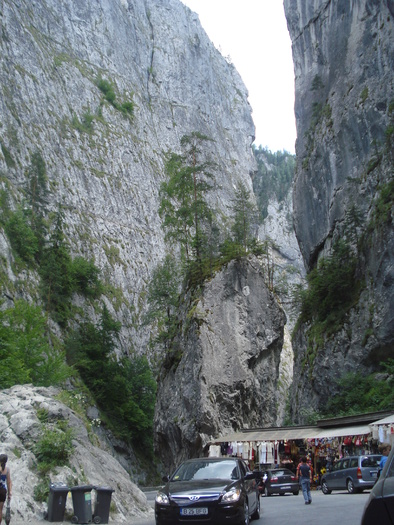 DSC06594