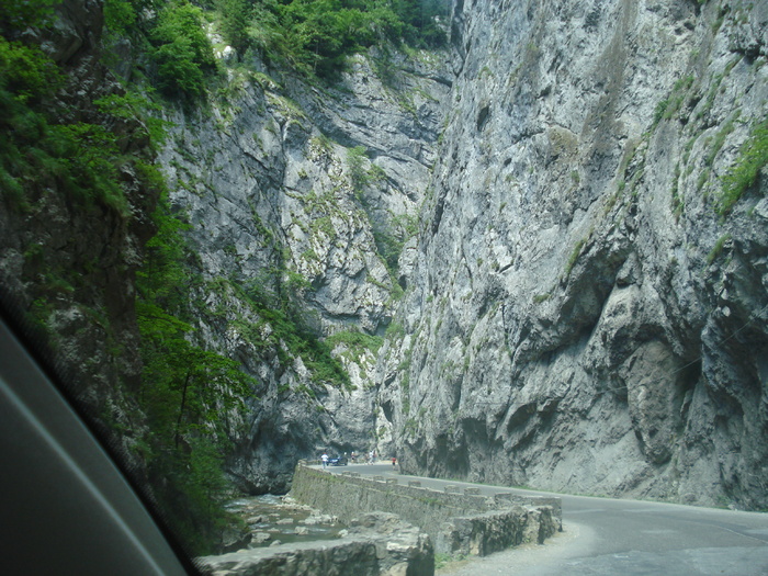 DSC06599