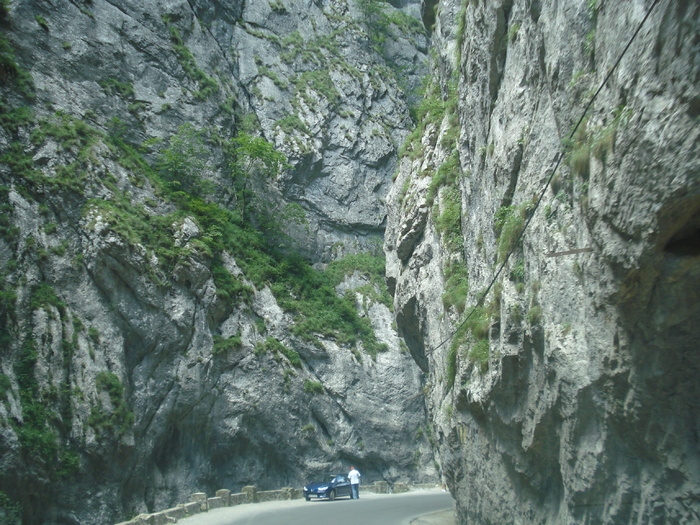 DSC06600