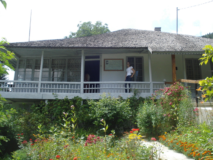 DSC06792