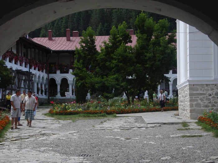 DSC06809