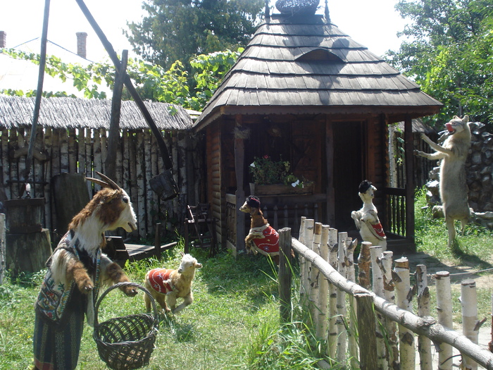 DSC06830
