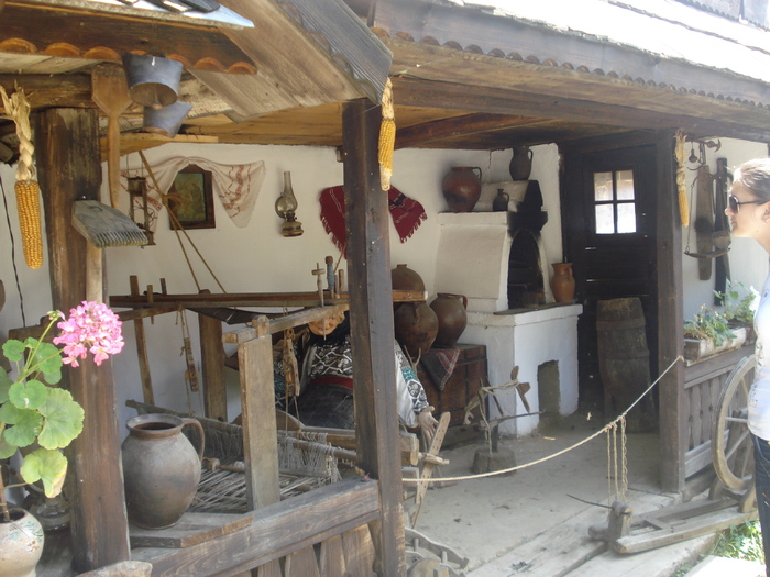 DSC06831
