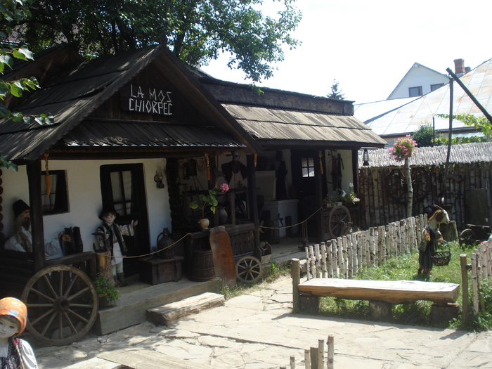 DSC06836