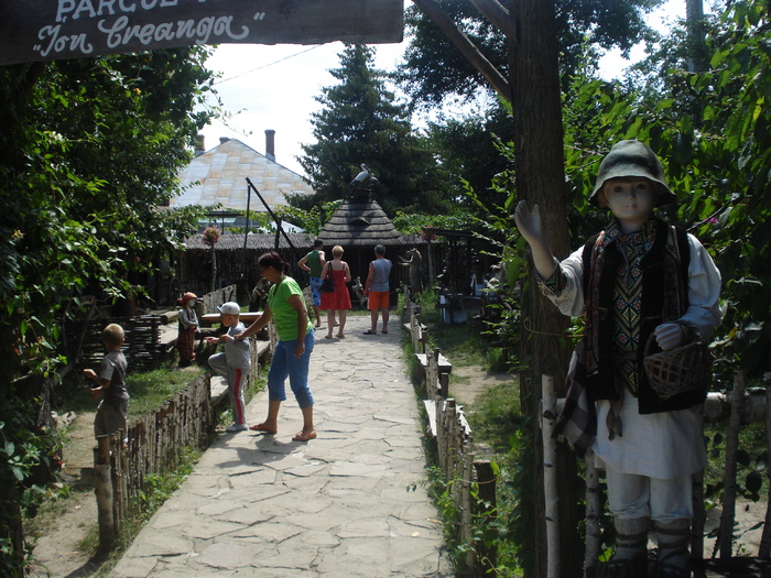 DSC06838