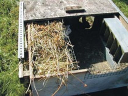 AHIGUMDDHIISGPNYESQ - MODELE CUSTI 2