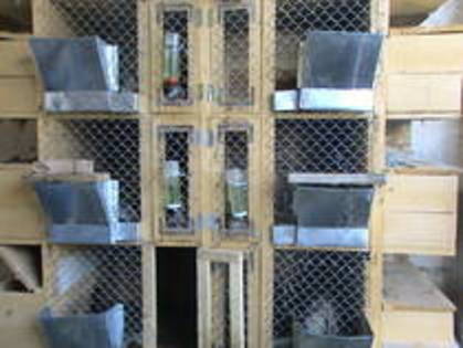 AZUUILOKIETCVDMRGTX - MODELE CUSTI 2