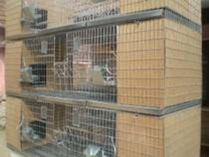 CREEKUJFWPRJLXHQTPT - MODELE CUSTI 2