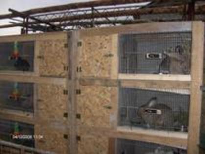 HJJHCKZDWNEWYVBEEJT - MODELE CUSTI 2