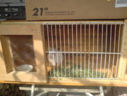 JRENMRIDMMXSBTIIXYX - MODELE CUSTI 2