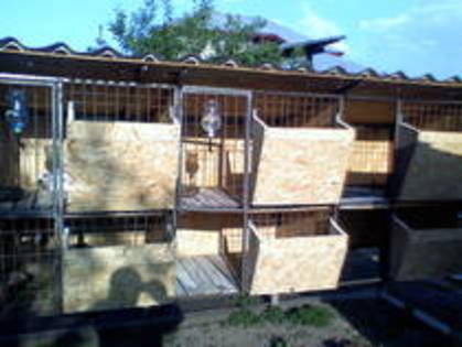 KTTFMGZDTDTBKVKXDGP - MODELE CUSTI 2