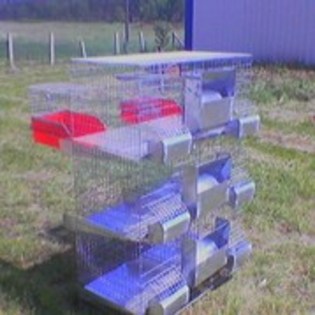 LIIPIOQZJAARWQBMSIN - MODELE CUSTI 2