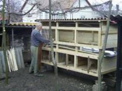 MEAMYXDGKXSUPDPOQXZ - MODELE CUSTI 2