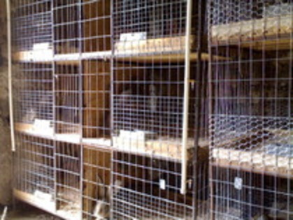 NKTAOLHIZMKMCEJXPUJ - MODELE CUSTI 2