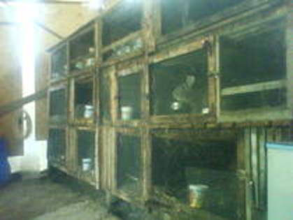 PRKIYLOEWOQKDQWFILG - MODELE CUSTI 2