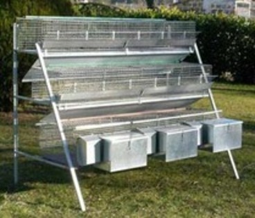 QCMCHOKEWDHGRWZWVWN - MODELE CUSTI 2