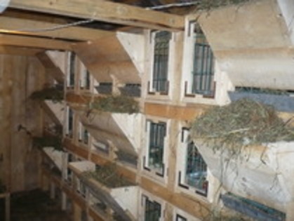 RJQKSVLAEIXEIXCECCB - MODELE CUSTI 2