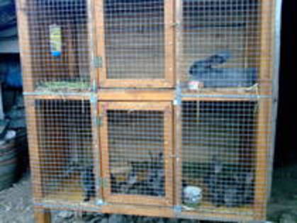 VNGPNDSCTKAOEYVCSTW - MODELE CUSTI 2