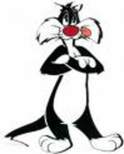 images - Sylvester