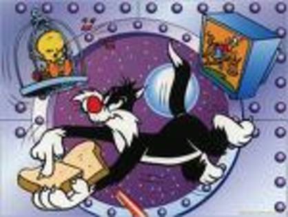 images (8) - Sylvester