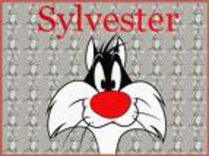 images (12) - Sylvester