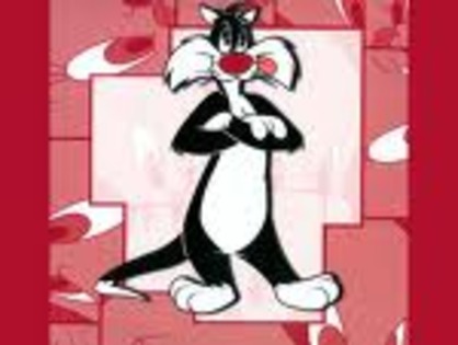 images (14) - Sylvester