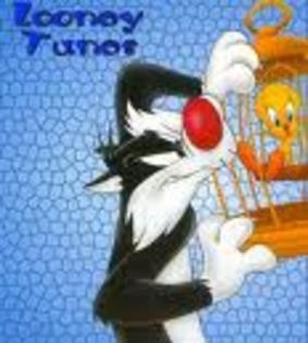 images (23) - Sylvester