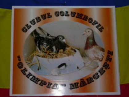 emblema clubului