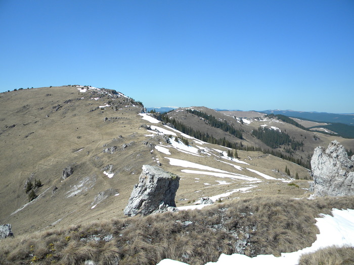 Picture 081 - muntii tibau-aprilie 2010