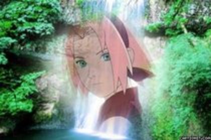 MCNGHYAXJFWMUNEMWGH - Poze soooper Sakura