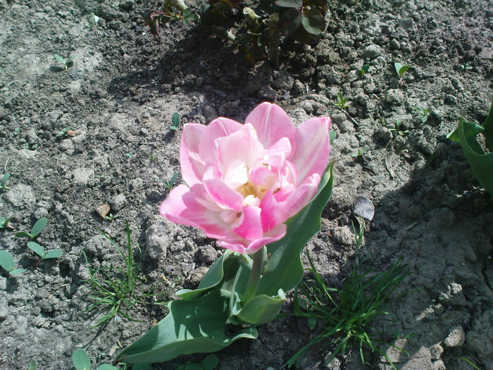 DSC02115