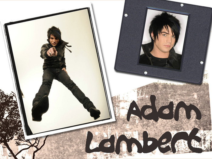 Adam-Wallpaper-2-adam-lambert-6428884-800-600