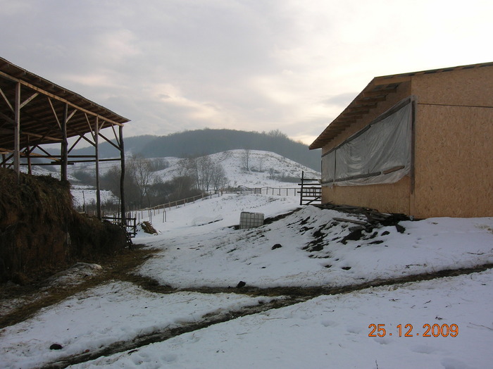 DSCN3378 - Ferma