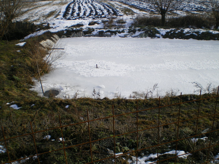 Pp 022 - Ferma