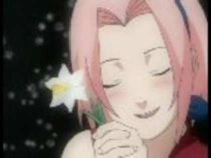 10445747_QNPCZLLPW - Sakura Haruno cea mai frumy si sweety fata din Naruto