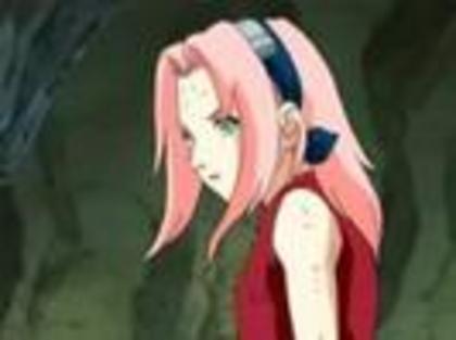 11385898_XSEGSUXHV - Sakura Haruno cea mai frumy si sweety fata din Naruto