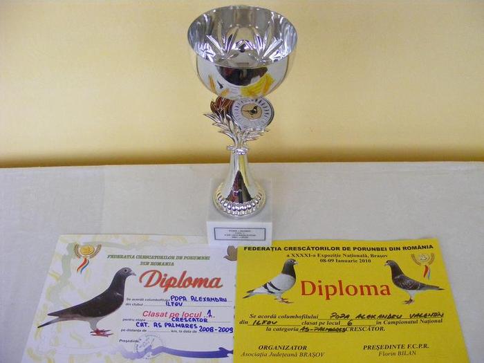 2010_02280072 - TROFEE