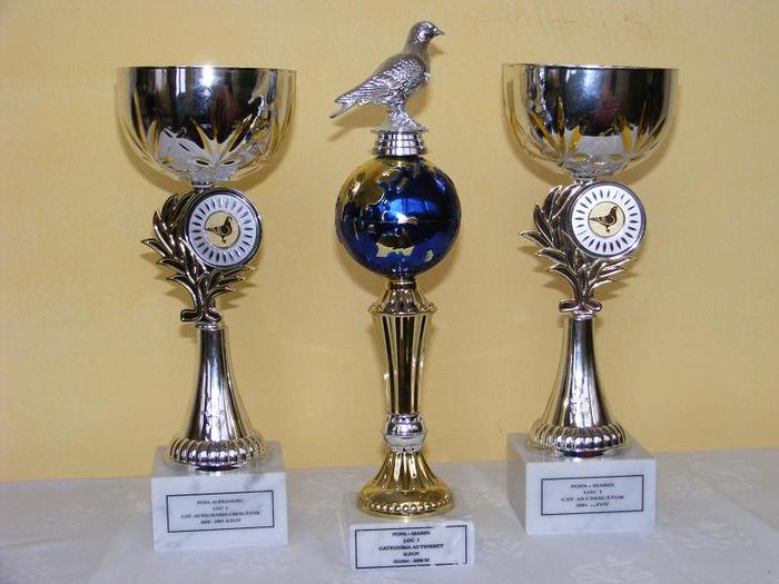 2010_02280091 - TROFEE