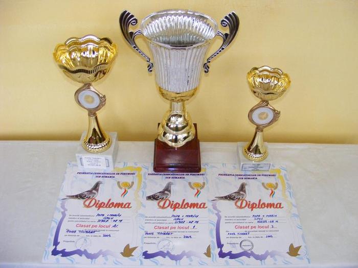 locul 1,2,3 fond tineret 2009