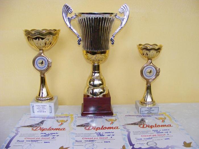 2010_02280026 - TROFEE