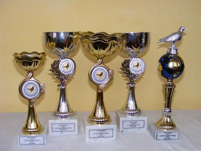 2010_02280089 - TROFEE