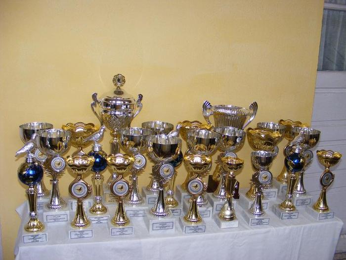 2010_02280093 - TROFEE