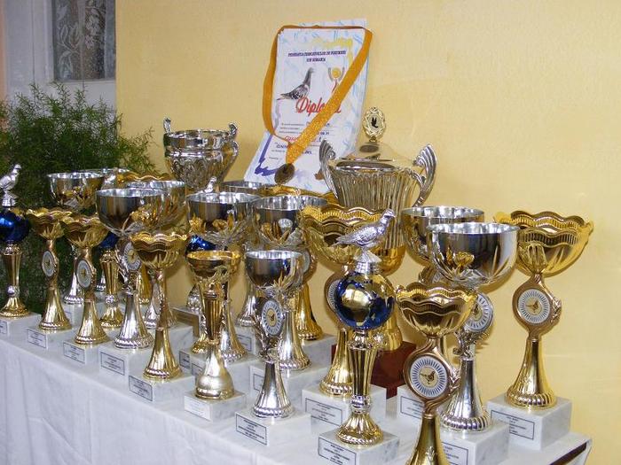 2010_02280099 - TROFEE