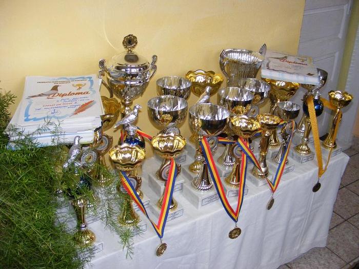 2010_02280107 - TROFEE