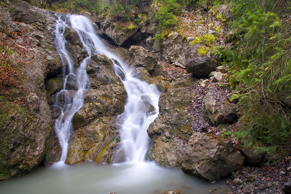 Cascada ruginosu - ale mele