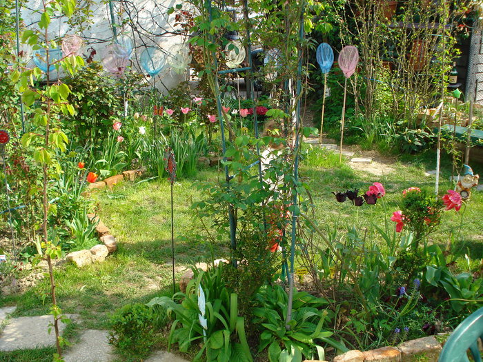 DSC02656