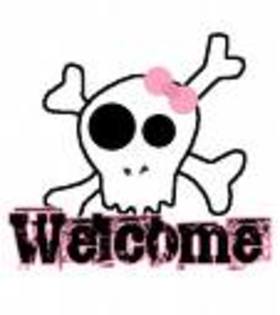 welcome - 000bun venit000