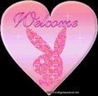 welcome - 000bun venit000