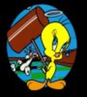 0090 - tweety